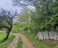 Satl Urșici din Hunedoara Foto Daniel Guță ADEVĂRUL (10) jpg