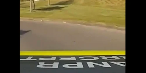 accident golf captura video Daily Mail jpg