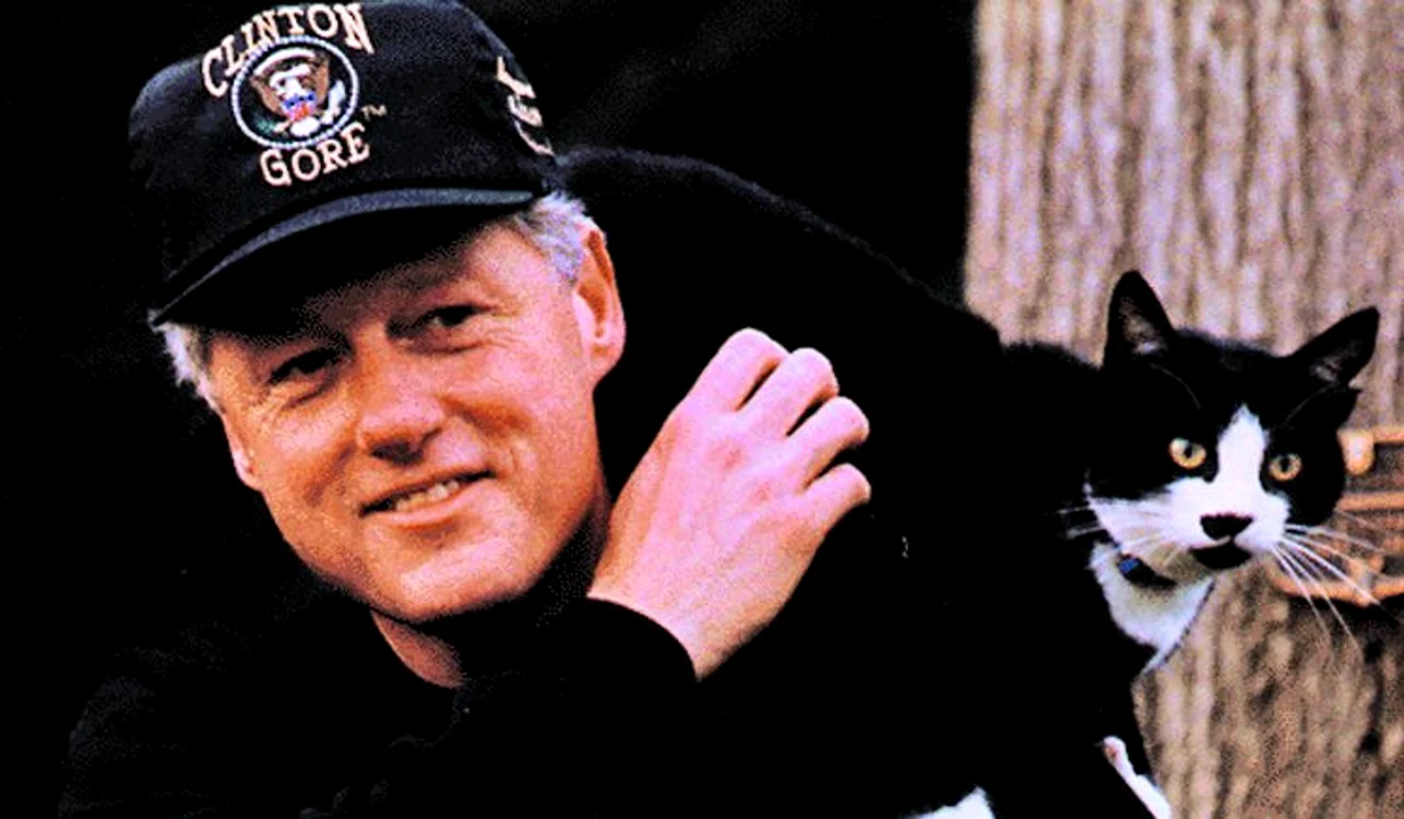 Socks, pisica lui Bill Clinton