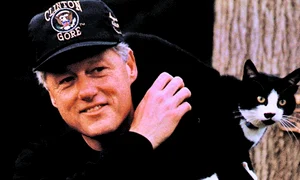 Socks, pisica lui Bill  Clinton jpeg