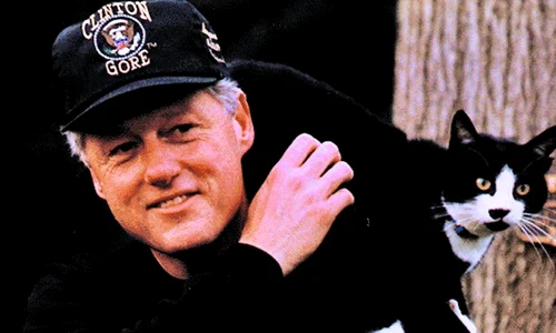 Socks, pisica lui Bill  Clinton jpeg