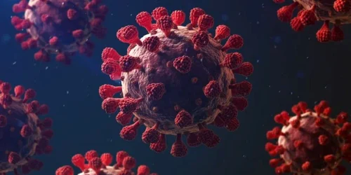 covid 19 20 martie webp