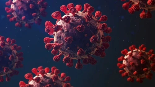 Peste 67.000 de persoane diagnosticate cu infecție cu SARS-CoV-2 au decedat Foto: Arhivă