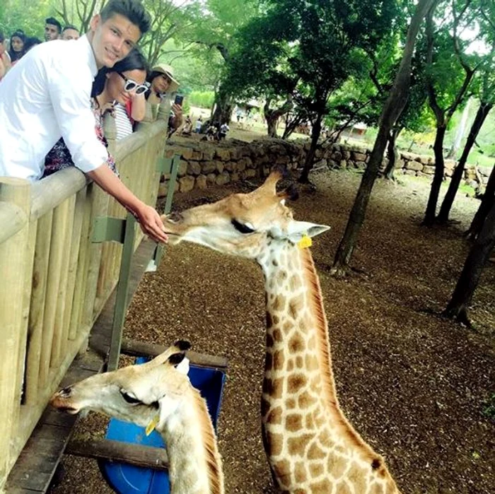 4 corina corolevschi iubita lui mihnea nastase nora lui adrian nastase 16 jpg jpeg