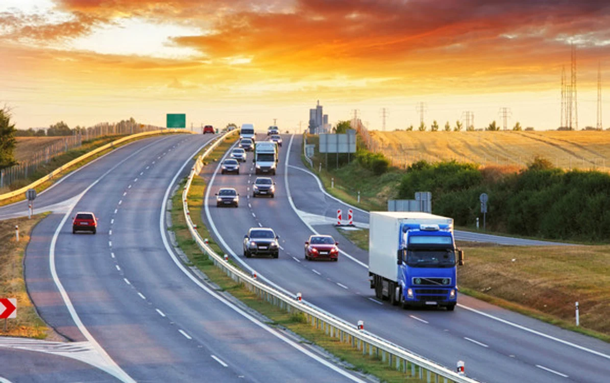 
    Pisoiașul a străbătut continentul în camionul cu mobilă  