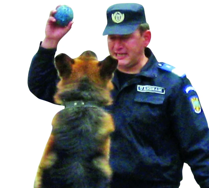 De când este dresor, Călin Marinău a lucrat numai cu Spic