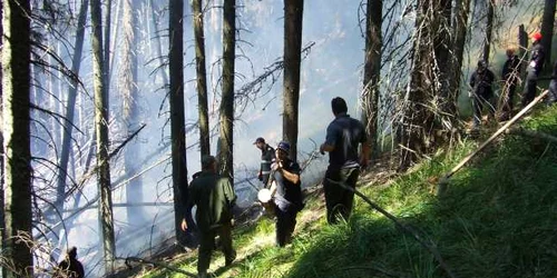 Pompierii militari valceni luptandu-se cu incendiul din pădurea de răşinoase de pe muntele Puru