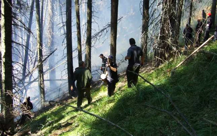 Pompierii militari valceni luptandu-se cu incendiul din pădurea de răşinoase de pe muntele Puru