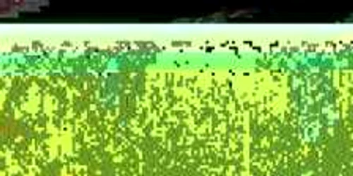 Cei trei vânători erau posesori legali de arme de vânătoare