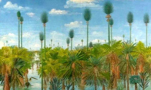 A fost descoperită cea mai veche pădure fosilizată jpeg