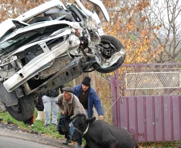 accident vaslui