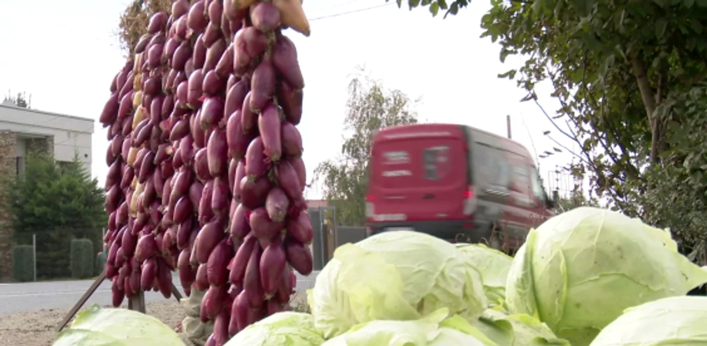 Varza de Buzău are preţuri cuprinse între 1.20 şi 1.50 lei kilogramul  Foto I.B.