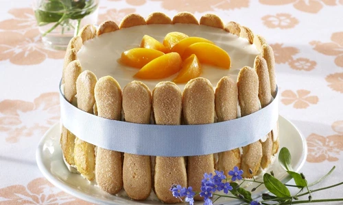 tort cu piscoturi si crema de branza jpeg