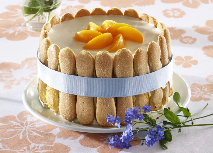 tort cu piscoturi si crema de branza jpeg