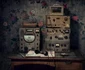 FOTO Evgenia Arbugaeva - The New Yorker