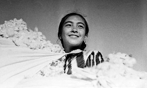 historia ro undefined jpeg