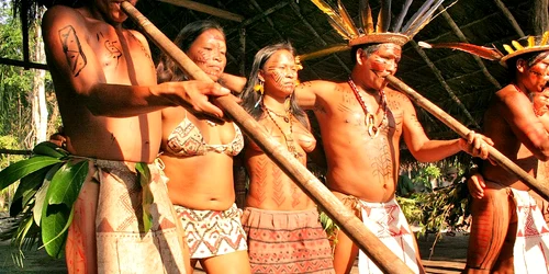 AMAZON RAINFOREST NATIVES TUKANO WELCOME DANCE   panoramio jpg