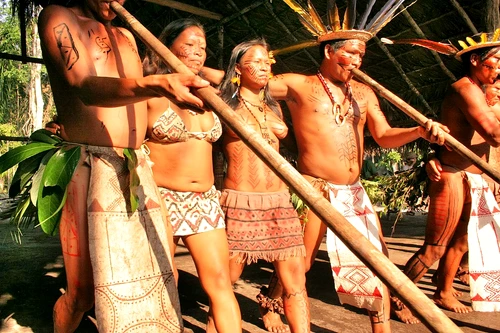AMAZON RAINFOREST NATIVES TUKANO WELCOME DANCE   panoramio jpg