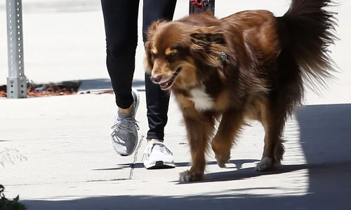 hepta 2914351 jpg jpeg