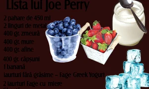 Lista lui Joe Perry jpeg