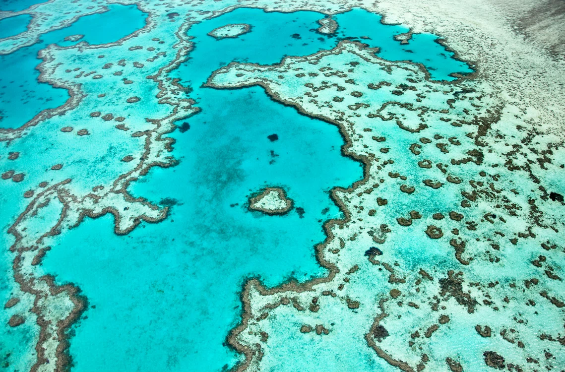 Australia - Reciful iubirii  în Marea barieră de corali