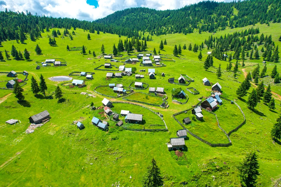Poiana Călineasa este un loc perfect pentru vacanță / FOTO: Facebook