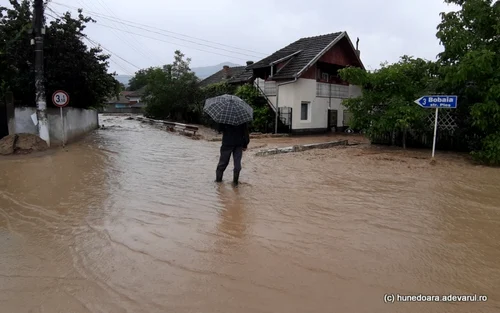 inundatii bosorod