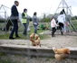 Prințul William în vizită la o fermă urbană, GettyImages