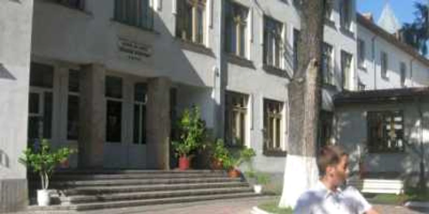 Liceul de Arte "Bălaşa Doamna"
