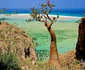 Insula Socotra Yemen Foto wordsinthebucket com