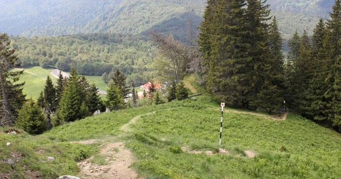 muntele rosu cheia foto diana frîncu