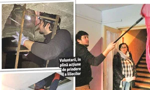 cuplasa9878978 jpeg
