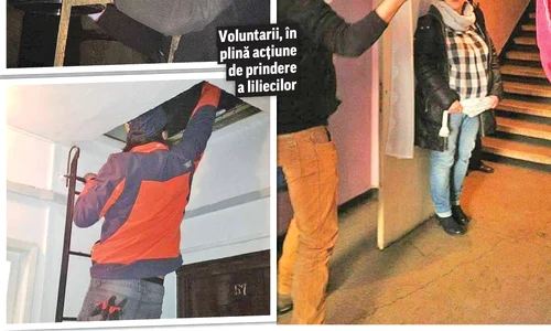 cuplasa9878978 jpeg