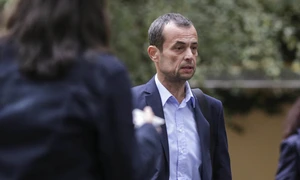 Mircea Negulescu foto News
