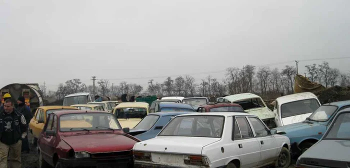 Sute de Rable au fost strânse într-o săptămână