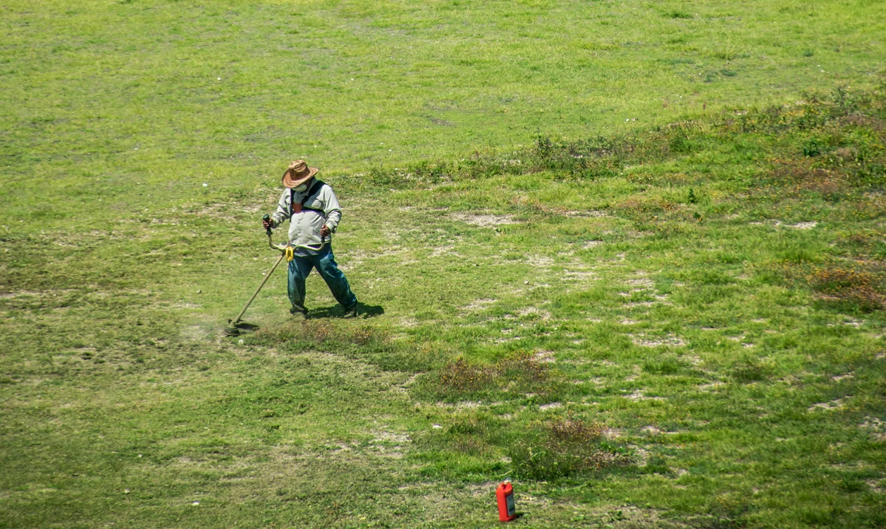 Un bărbat a găsit o comoară veche de peste 2.000 de ani / foto: Pexels