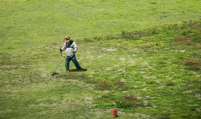 Un bărbat a găsit o comoară veche de peste 2.000 de ani / foto: Pexels