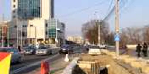 Gropzilla III la vârsta de două săptămâni Foto Marius Mototolea