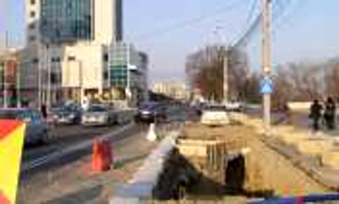 Gropzilla III la vârsta de două săptămâni Foto Marius Mototolea
