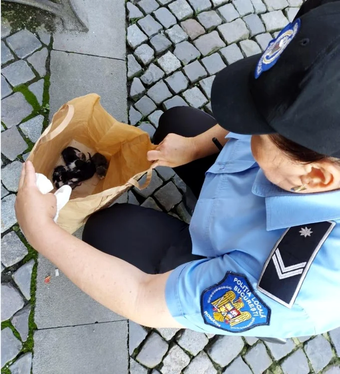 Foto: Facebook/ Poliţia Locală Bucureşti