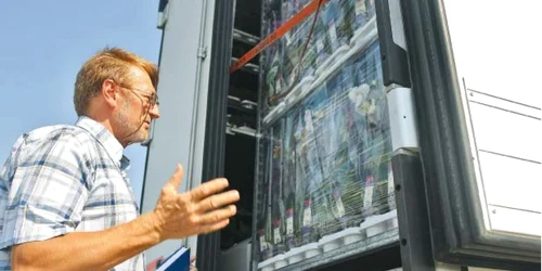 În Vama Nădlac sunt oprite, de 70 de ore, cinci camioane pline cu flori pentru depistarea unei bacterii  