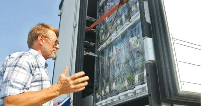 În Vama Nădlac sunt oprite, de 70 de ore, cinci camioane pline cu flori pentru depistarea unei bacterii