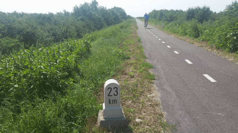 Punct de trecere a frontierei mobil pe ciclostrada România-Serbia. Bicicliștii vor pedala de la Timișoara la Zrenjanin 