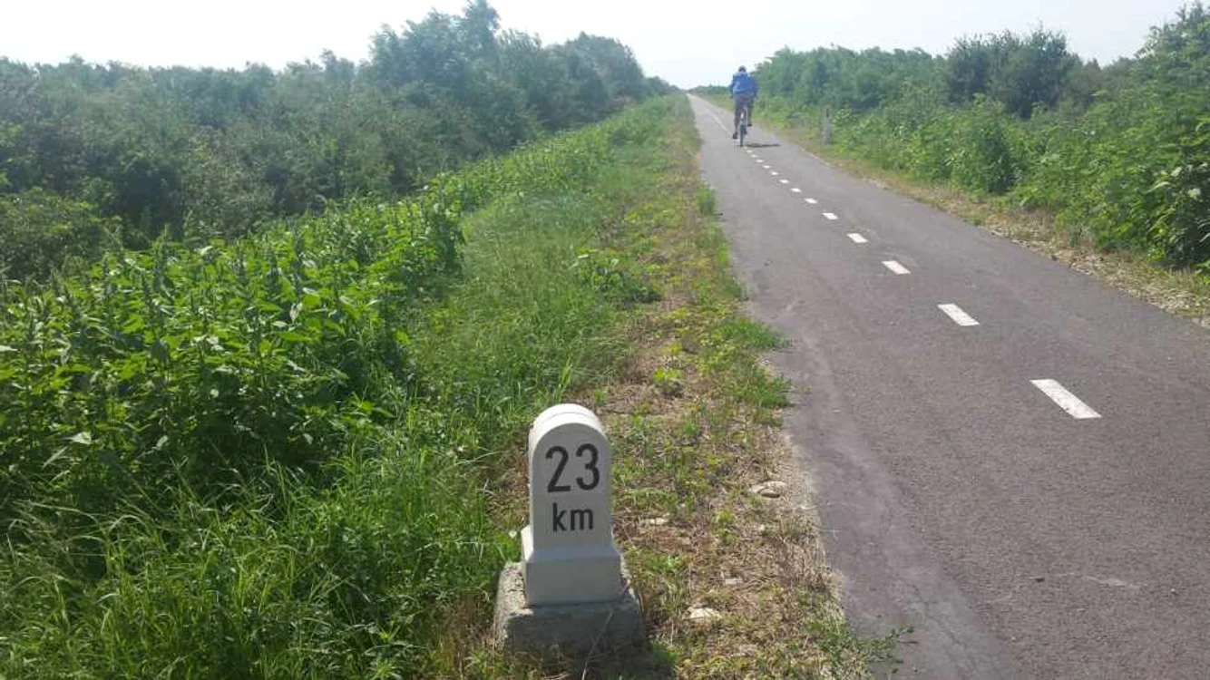 Pista de biciclete de pe digul Begăi FOTO Ștefan Both