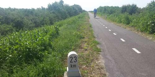 Pista de biciclete de pe digul Begăi FOTO Ştefan Both