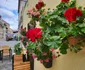 Poze de zi si noapte cu Samsung Galaxy Z Fold 3 Brasov FOTO Adrian Pogîngeanu