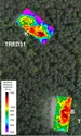 Cartografierea rezistivității electrice realizată de specialiștii francezi la movilele TRED30 și TRED31 de la Coëby (© Archaeological Prospection (2026). DOI: 10.1002/arp.70060)