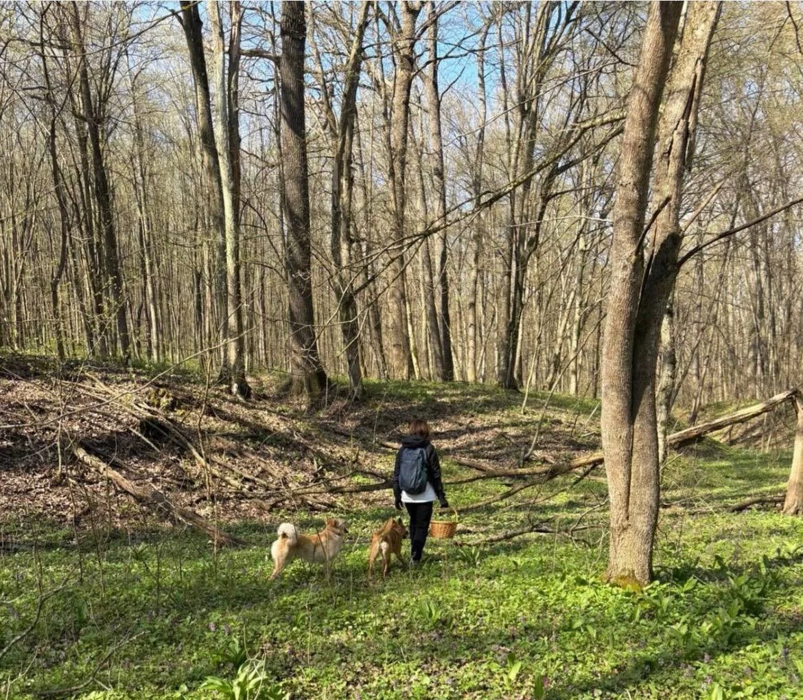 Cum își petrece Duminica Floriilor lidera de la Chișinău: ,,Cu Cleo și Codruț la plimbare”