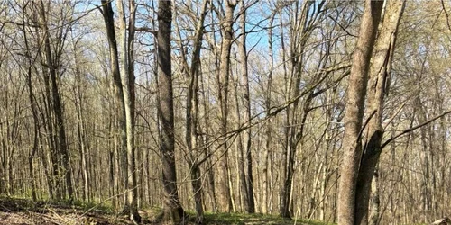 Maia Sandu FOTO Instagram com Maia Sandu jpeg