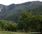 Cetatea dacică Piatra Roșie și valea Luncanilor Foto Daniel Guță ADEVĂRUL (20) JPG